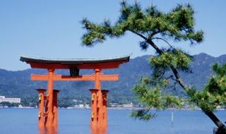 Japon