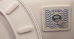flush back